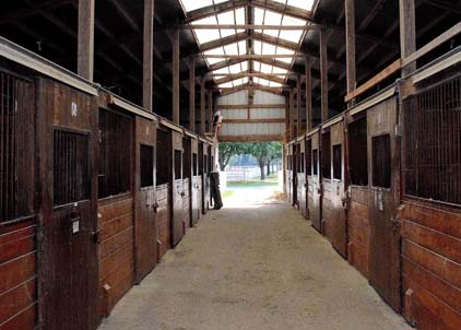 Stables